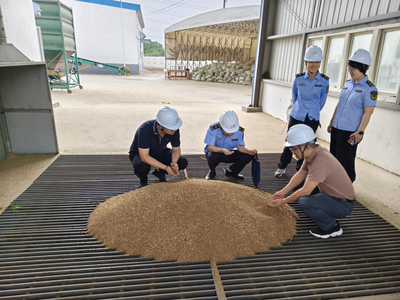 昆山发改委开展夏粮收购联合执法检查，强化粮食市场管理服务
