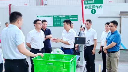 河南农投集团党委书记、董事长李晓寰深入调研夏粮收购与餐饮配供 赋能粮食市场管理服务升级