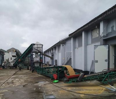 我市夏粮收购入库工作全面启动 强化市场管理，优化为农服务
