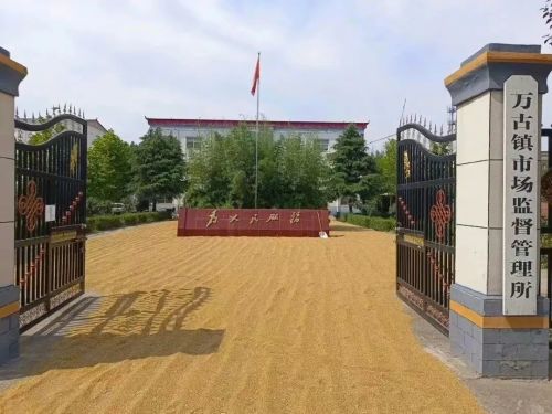 敞开政府大门，晒出为民初心——创新粮食管理服务新姿态