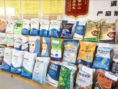 融合焕新促发展 文化赋能树品牌——销售分公司在粮食市场管理服务中的实践与探索